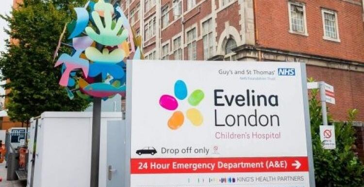 Evalina hospital Evalina hospital