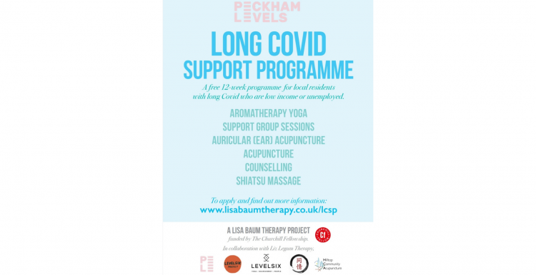 Long Covid Support Programme flyer- all info below