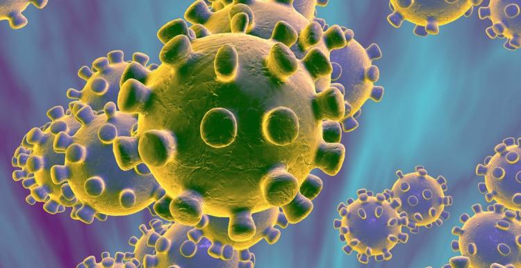 An illustration of COVID-19 Coronavirus COVID-19 viral structure illustration
