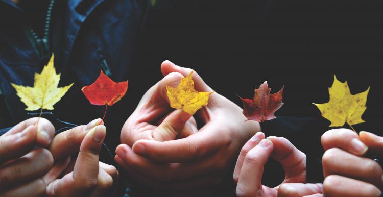 Fingers holding leaves