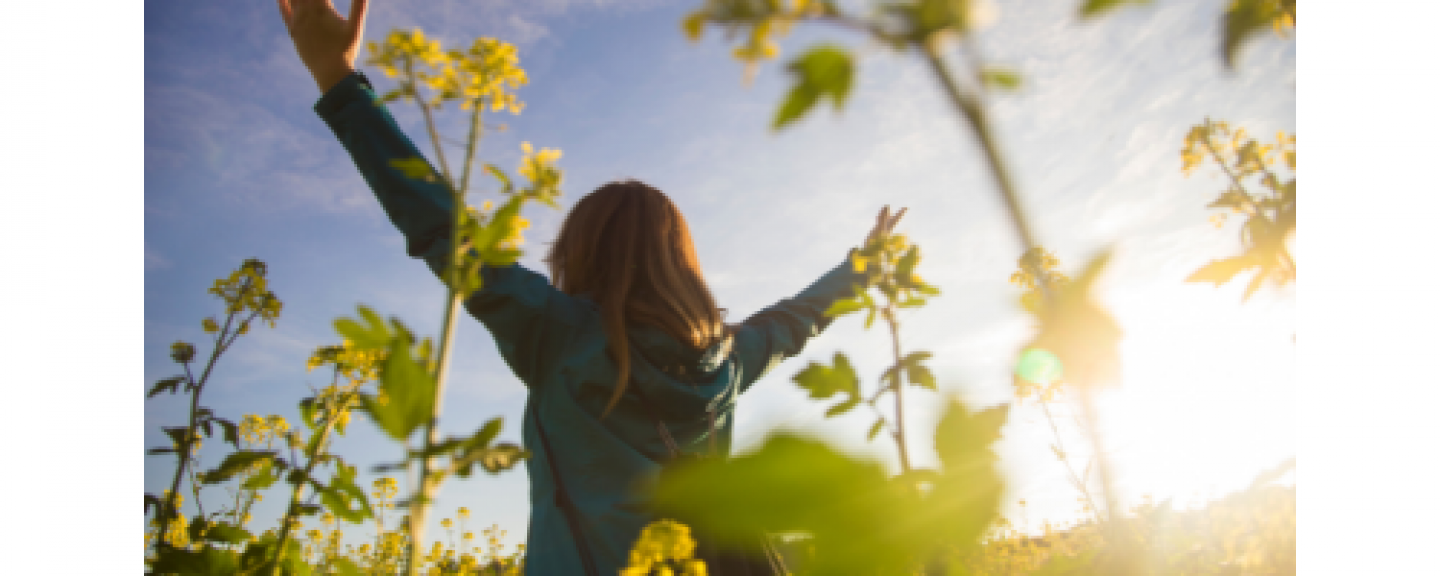 Woman holding arms up to the sky in field of flowers