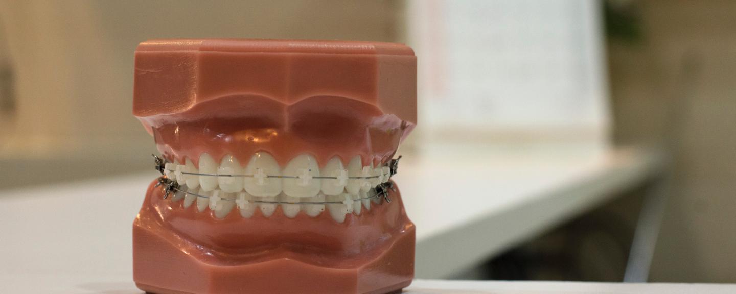 Teeth