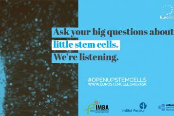 Stem Cells image