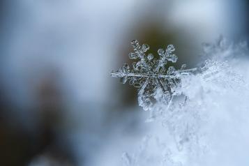 Close up of snowflake in winter