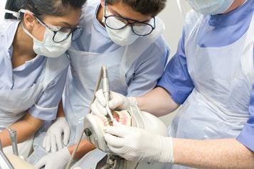 dental students working on teeth