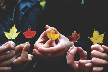 Fingers holding leaves