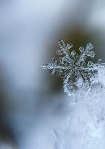 Snowflake